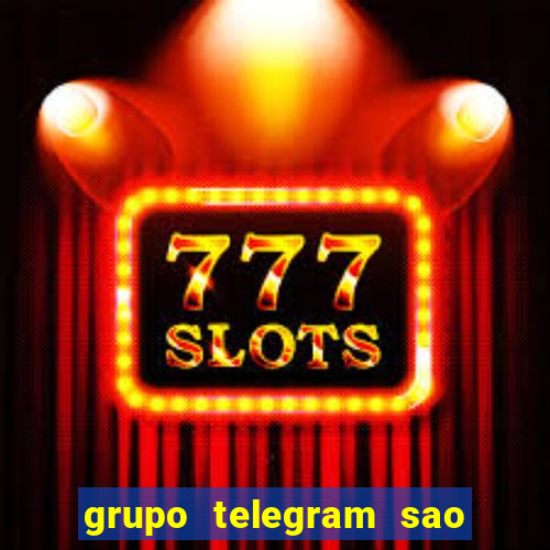 grupo telegram sao jose do rio preto